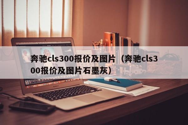 奔驰cls300报价及图片（奔驰cls300报价及图片石墨灰）