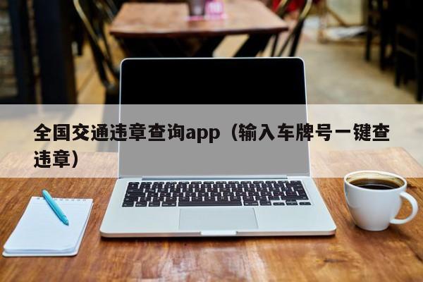 全国交通违章查询app（输入车牌号一键查违章）