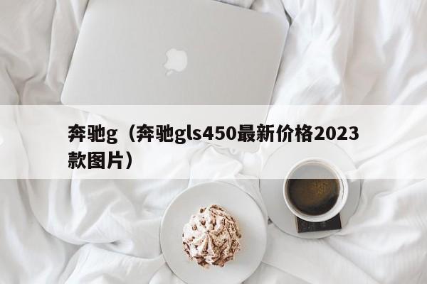 奔驰g（奔驰gls450最新价格2023款图片）