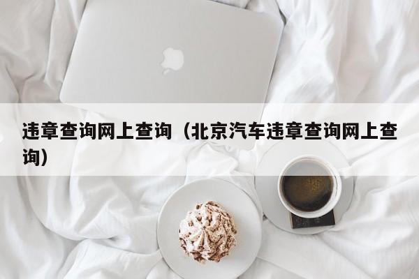 违章查询网上查询（北京汽车违章查询网上查询）