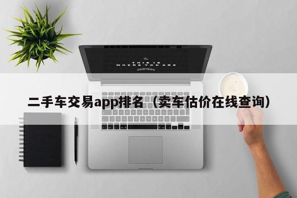 二手车交易app排名（卖车估价在线查询）