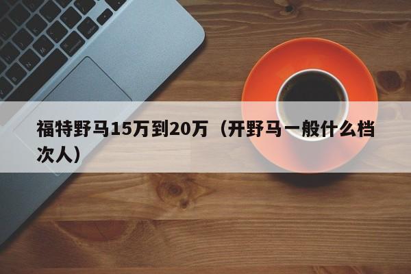 福特野马15万到20万（开野马一般什么档次人）