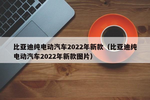 比亚迪纯电动汽车2022年新款（比亚迪纯电动汽车2022年新款图片）