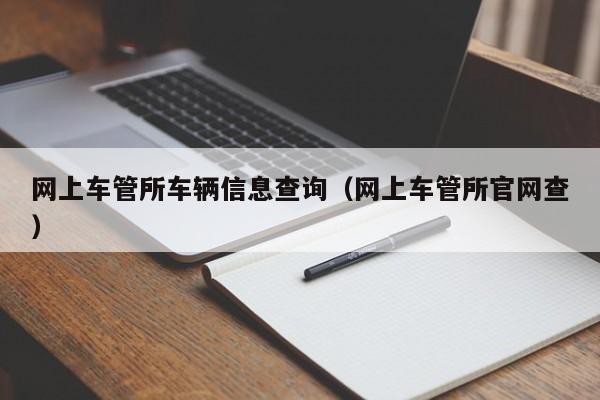 网上车管所车辆信息查询（网上车管所官网查）