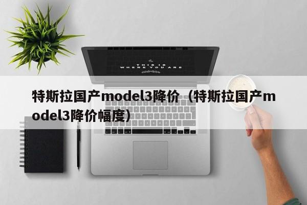 特斯拉国产model3降价（特斯拉国产model3降价幅度）