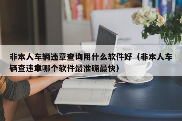 非本人车辆违章查询用什么软件好（非本人车辆查违章哪个软件最准确最快）