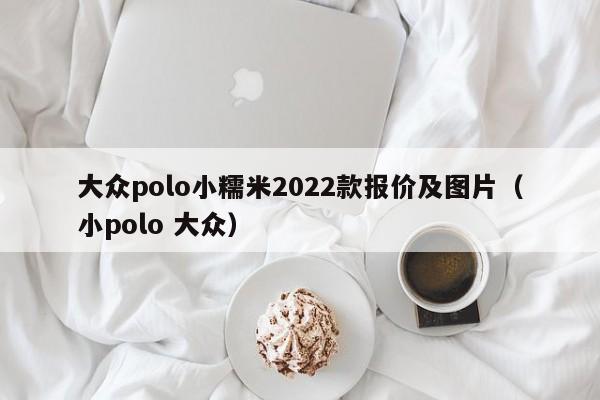 大众polo小糯米2022款报价及图片（小polo 大众）