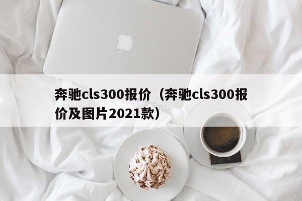 奔驰cls300报价（奔驰cls300报价及图片2021款）