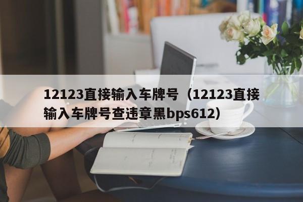 12123直接输入车牌号（12123直接输入车牌号查违章黑bps612）