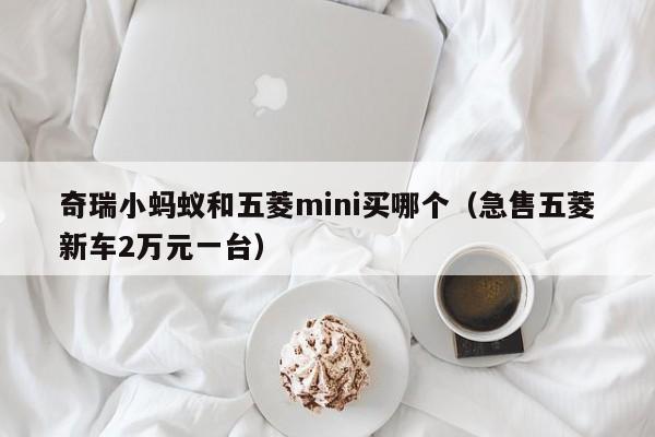 奇瑞小蚂蚁和五菱mini买哪个（急售五菱新车2万元一台）