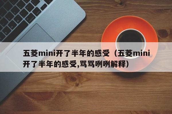 五菱mini开了半年的感受（五菱mini开了半年的感受,骂骂咧咧解释）