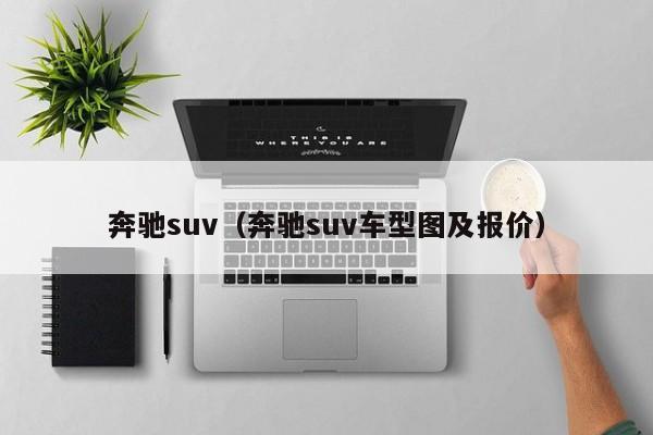 奔驰suv（奔驰suv车型图及报价）