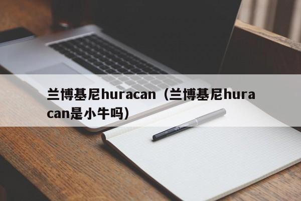 兰博基尼huracan（兰博基尼huracan是小牛吗）