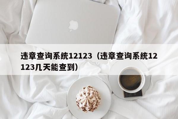 违章查询系统12123（违章查询系统12123几天能查到）