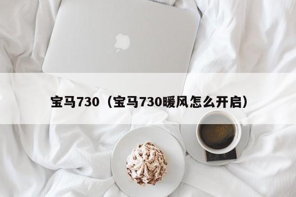 宝马730（宝马730暖风怎么开启）