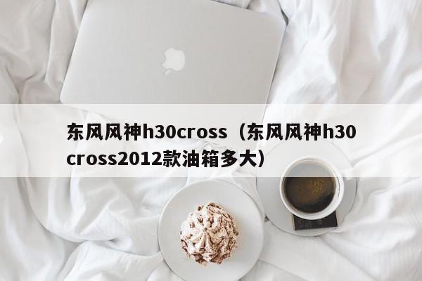 东风风神h30cross（东风风神h30cross2012款油箱多大）