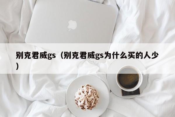 别克君威gs（别克君威gs为什么买的人少）