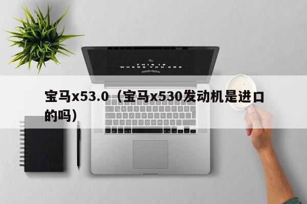 宝马x53.0（宝马x530发动机是进口的吗）