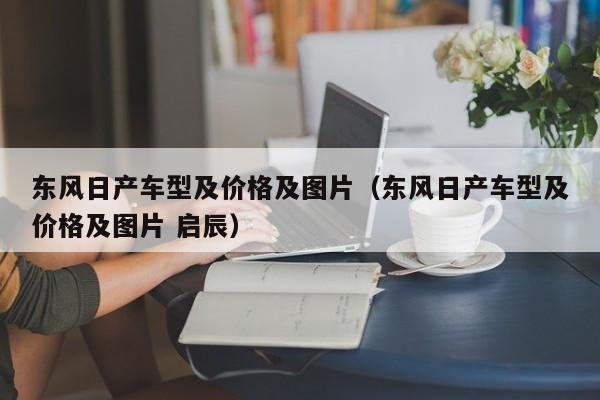 东风日产车型及价格及图片（东风日产车型及价格及图片 启辰）