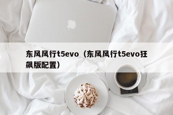 东风风行t5evo（东风风行t5evo狂飙版配置）