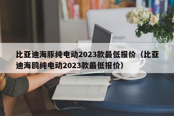 比亚迪海豚纯电动2023款最低报价（比亚迪海鸥纯电动2023款最低报价）