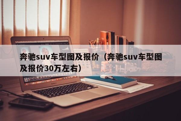 奔驰suv车型图及报价（奔驰suv车型图及报价30万左右）