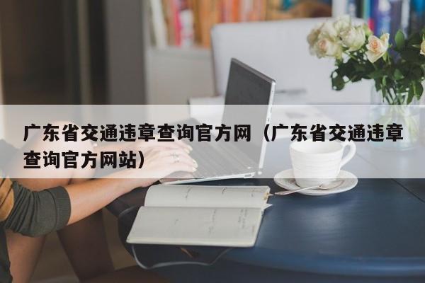 广东省交通违章查询官方网（广东省交通违章查询官方网站）