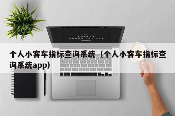 个人小客车指标查询系统（个人小客车指标查询系统app）