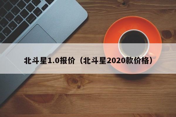 北斗星1.0报价（北斗星2020款价格）